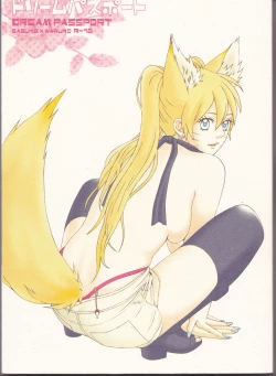 Page 1 of Dream Passportongoing