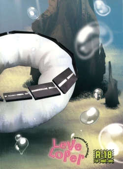 Page 19 of LeVeLoPer