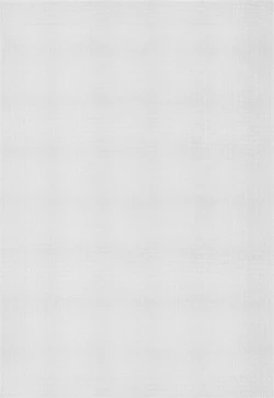 Page 12 of Seijo no Gohoushi