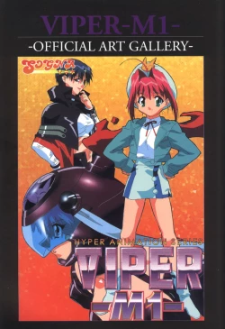 Page 34 of Viper F40