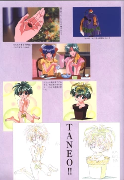 Page 36 of Viper F40