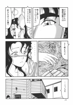 Page 27 of kubikasehime