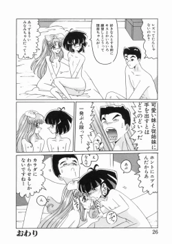 Page 28 of syoujoha shikyuude yumewo miru