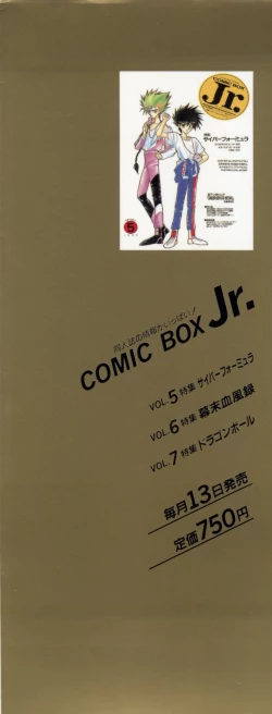 Page 3 of Lunatic Party