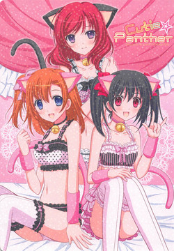 Download Cutie Panther