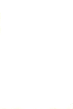 Page 43 of Shouganai yo ne!