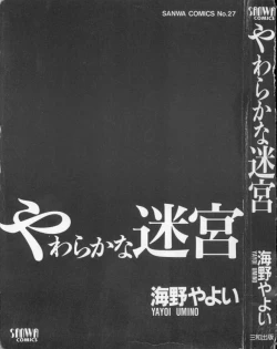 Page 2 of yawarakana meikyuu