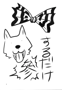 Page 3 of SURUDAKE San.