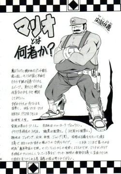 Page 37 of Super Mario Collection