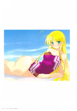 Page 19 of ALICESOFT CREATOR WORKS Vol.2 織音画集