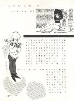 Page 119 of XSeed Soukan Junbigou