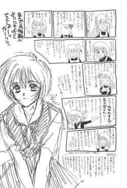 Page 43 of Vierzehn³