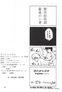 Page 45 of Vierzehn³