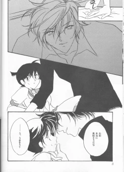 Page 28 of Kagayai usagi