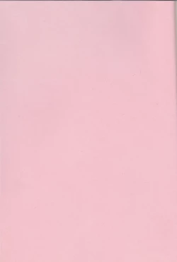 Page 2 of Kagayai usagi