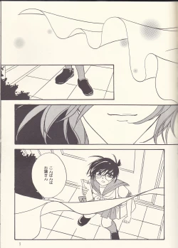 Page 9 of Kagayai usagi