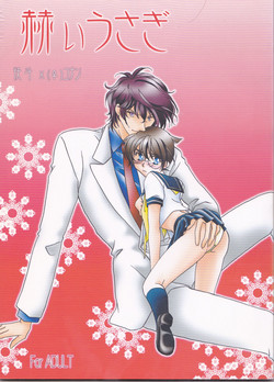 Download Kagayai usagi