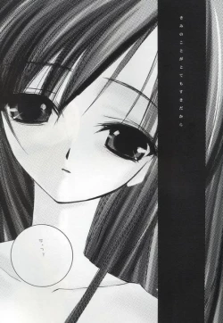 Page 13 of PolygoN WindoW