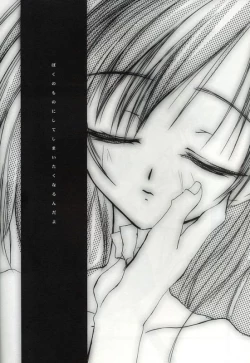 Page 14 of PolygoN WindoW