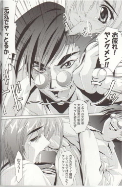 Page 17 of Gfestival