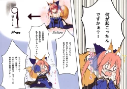 Page 3 of Lolikkitsune Tamamo-chan