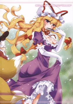 Page 19 of Touhou FUZZYSET 2