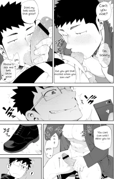 Page 17 of capture:3