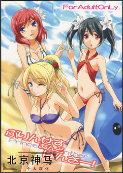 Download Princess and Panther!