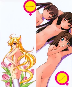 Page 3 of PetaFeti. 6