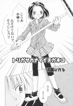 Page 23 of PetaFeti.