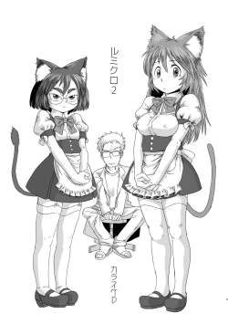 Page 2 of Lumichro 2