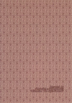 Page 22 of Yoidore Zilva to Shibireru Yoru o