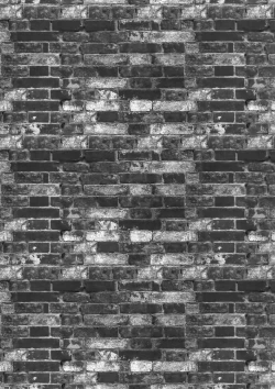 Page 3 of Reversible!!