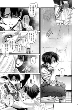 Page 26 of DOMESTIC MGNOLIA