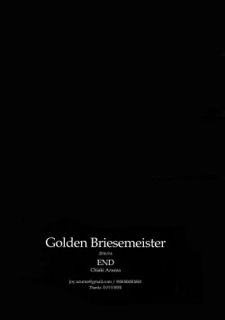 Page 45 of Golden Briesemeister