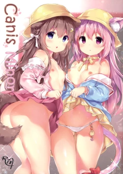 Page 2 of Canis Minor