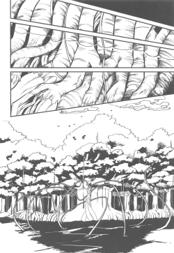 Page 11 of Nagare Balmung o Kuratta Kawaisou na Shokushu