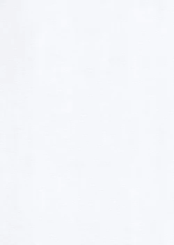 Page 15 of Nandemo  Iu Koto o Kiku Choukyouzumi Nikudorei