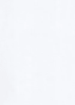 Page 2 of Nandemo  Iu Koto o Kiku Choukyouzumi Nikudorei