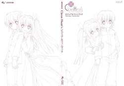 Page 153 of clover heart's visual fan book