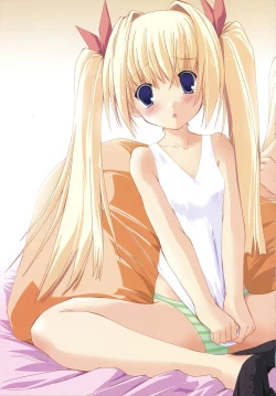 Page 25 of clover heart's visual fan book