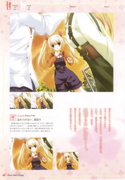 Page 46 of clover heart's visual fan book