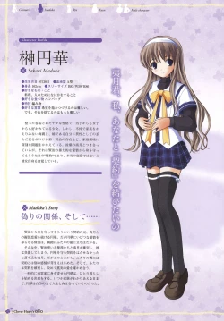 Page 82 of clover heart's visual fan book