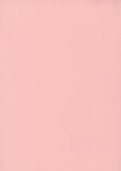 Page 5 of Seifuku Dai Seifuku