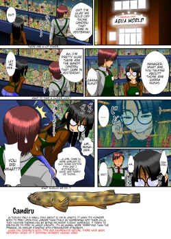 Page 12 of Chitsu Hakai-kei Joshi 4