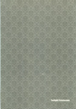 Page 13 of Twilight Prestissimo