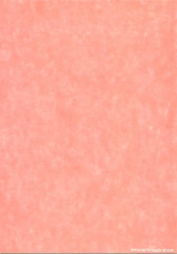 Page 48 of Dakishimete.