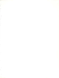 Page 2 of FLOWER VICTIM II EURI EDITION