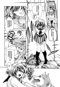 Page 4 of Nikuyoku Rensa | Chain of Lust