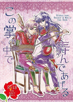 Download この掌の中で弄んであげる!